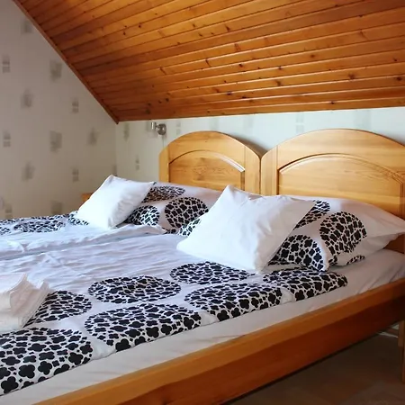 Apartman Lizi *